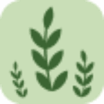 Cremation Club Coupon Codes & Deals