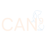CAN9 logo