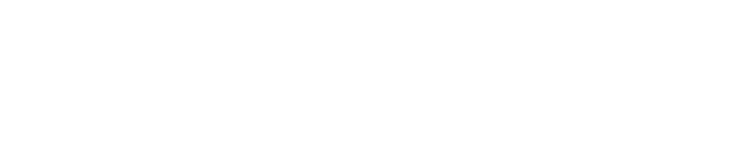 Freesky eBike logo