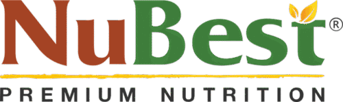 NuBest logo