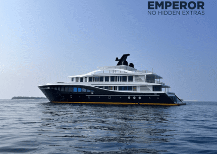 See the latest Orca DE deals and promotions
