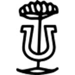 Stumptown Coffee logo