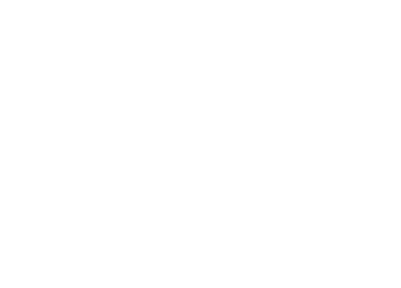 Secret Flight Club - US logo