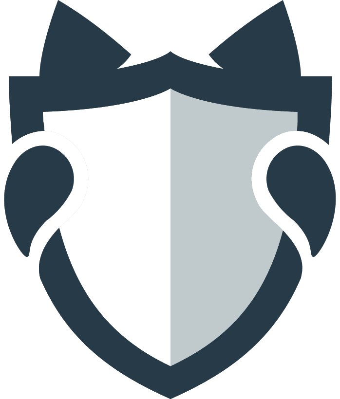HideMy.Name logo