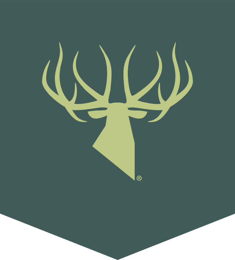 Kings Camo logo