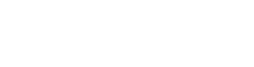 ControlZ World IN logo