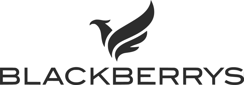 Blackberrys New IN logo