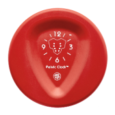 Pelvic Clock logo