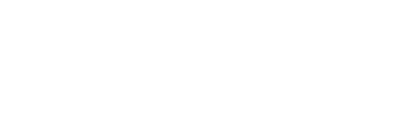 redsolution.company logo