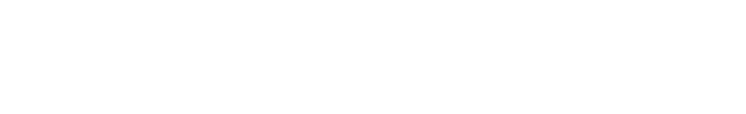Flight Network logo