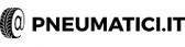 Pneumatici IT logo