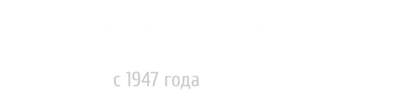 Molniya logo