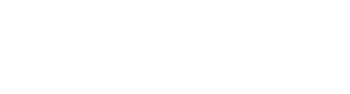 Litgorod RU logo