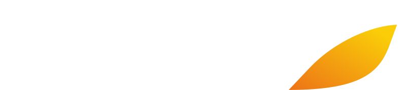 IBERIA US logo