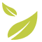 Matcha Extreme logo