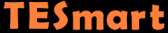TESmart DE logo