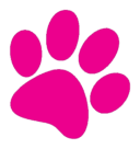 Sape.hr logo