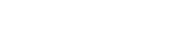 Topizbor.ba logo