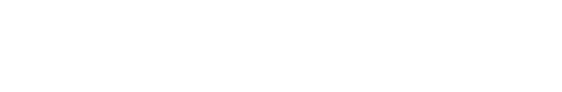 DoctorSlon logo