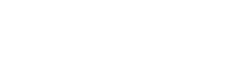 KissAndFly logo