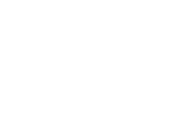 VIGO logo