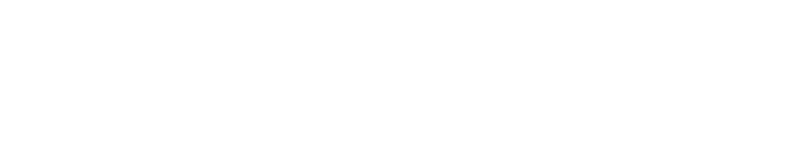 Domestika logo