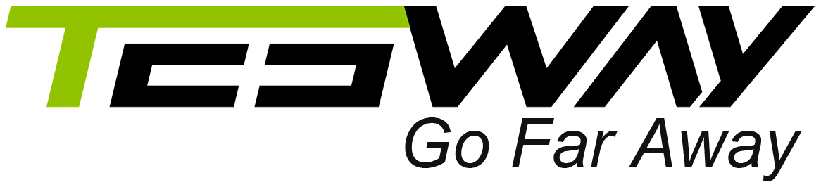 TESWAY EBIKE logo