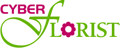 Cyber Florist logo