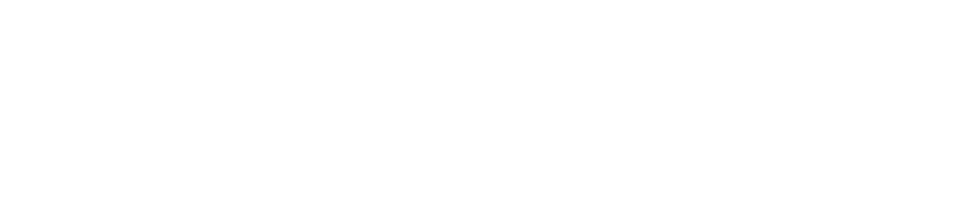 TRASMED ES logo