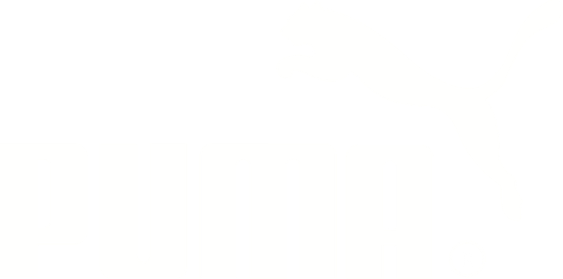 PUMA Mexico logo