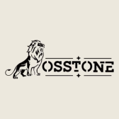 OSSTONE LLC logo