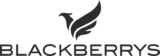 Blackberrys New IN Coupon Codes & Deals