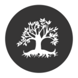The Dragontree Coupon Codes & Deals