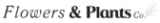 Flowers & Plants Co. Coupon Codes & Deals