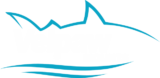 Velpaw MOUNTS Coupon Codes & Deals
