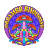 Dreamer Shrooms Coupon Codes & Deals